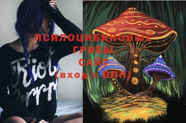 ПСИЛОЦИБИНОВЫЕ ГРИБЫ Алексеевка