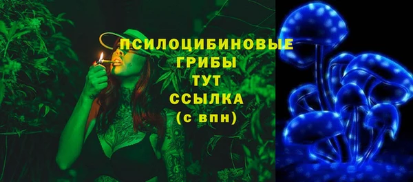 ПСИЛОЦИБИНОВЫЕ ГРИБЫ Алексеевка